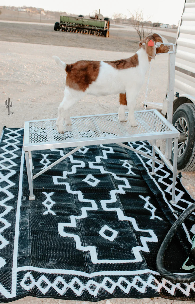 PREORDER Outdoor Rug
